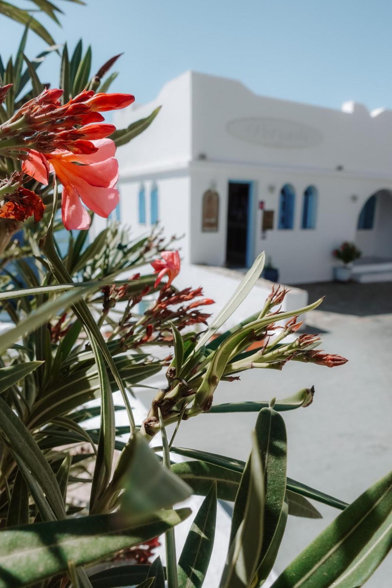 Hotel Petradi Chora  Luaran gambar