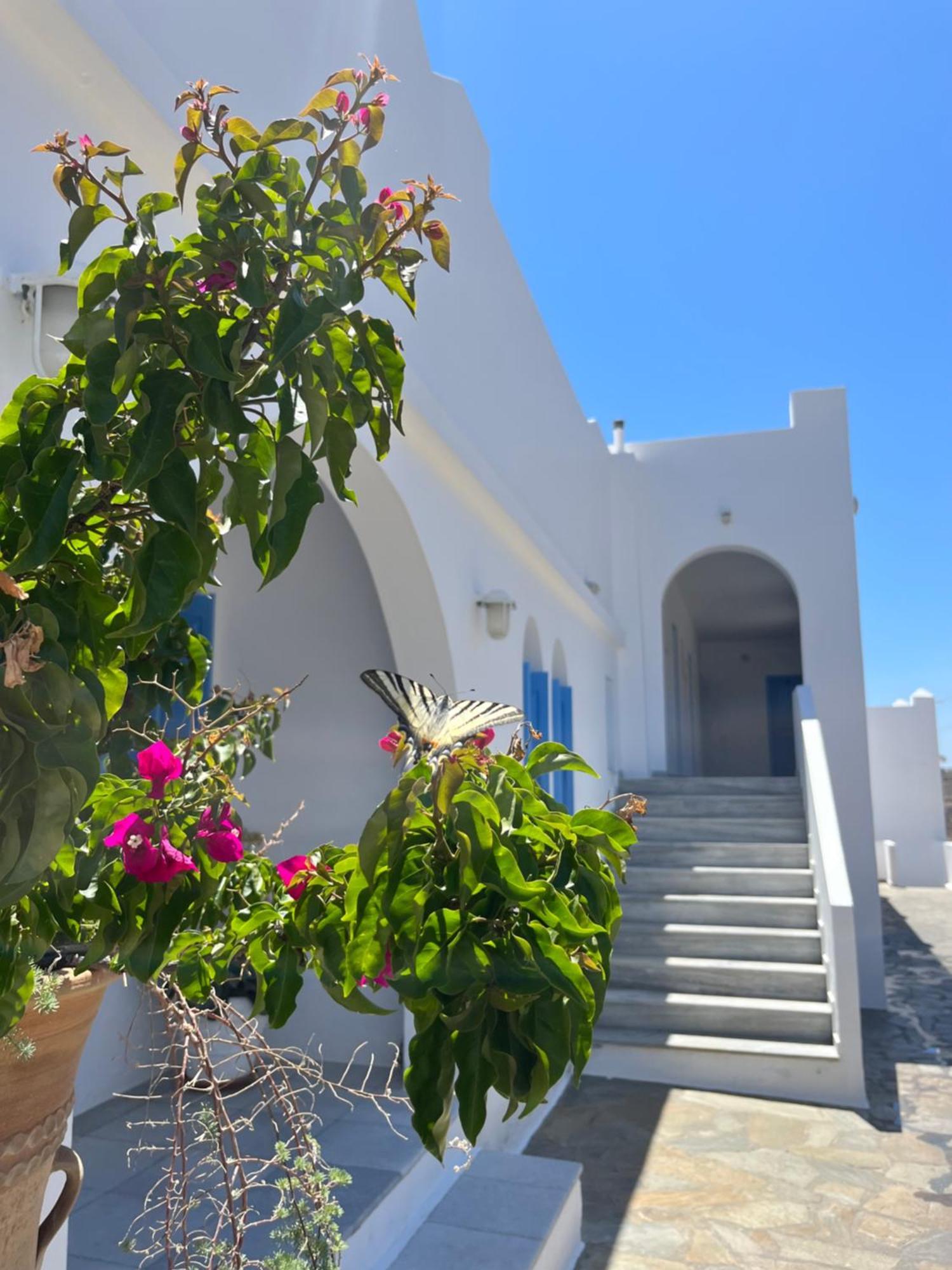 Hotel Petradi Chora  Luaran gambar